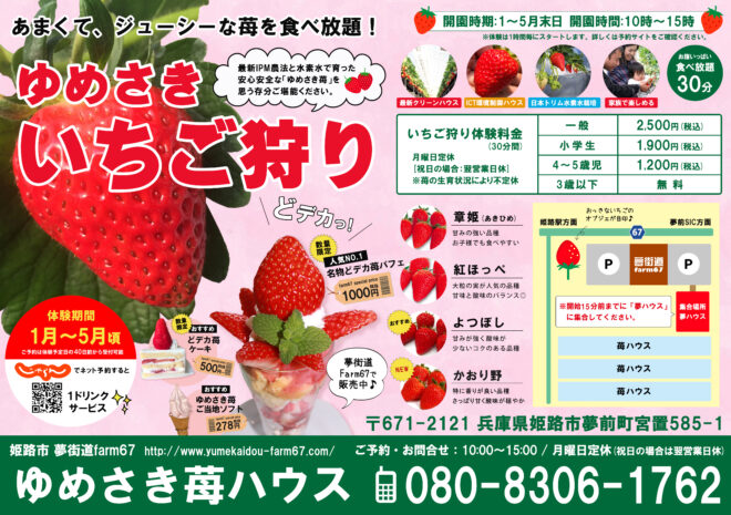 姫路 いちご 狩り
